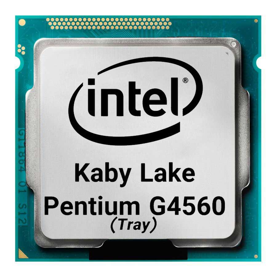 سی پی یو بدون باکس اینتل مدل Pentium G4560