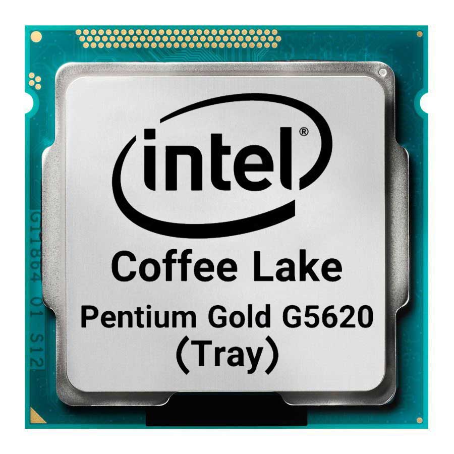 سی پی یو بدون باکس اینتل مدل Pentium Gold G5620