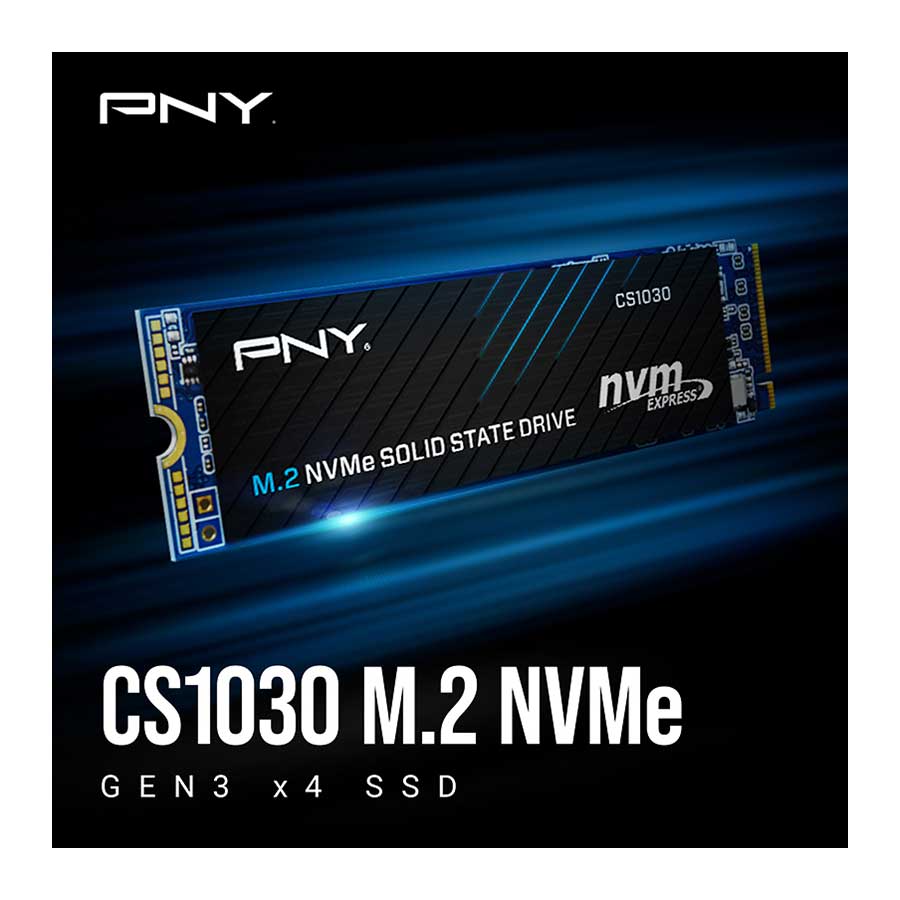 اس اس دی 250 گیگابایت پی ان وای مدل CS1030 M.2 2280 NVMe PCIe